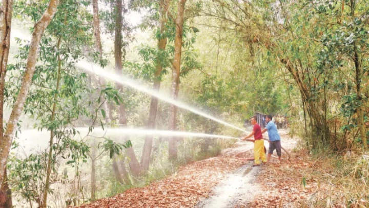 Tây Ninh và Long An tập trung bảo vệ “lá phổi xanh”